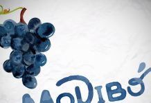 Modibo, il vino di Villa Quaglina. Un progetto di recupero di un antico vigneto destinato a sparire.